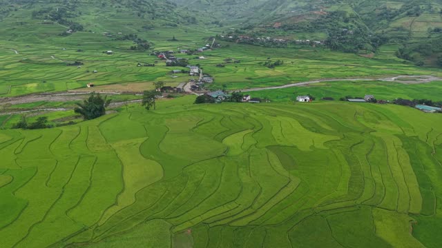 Rice Fields Beside River Bend