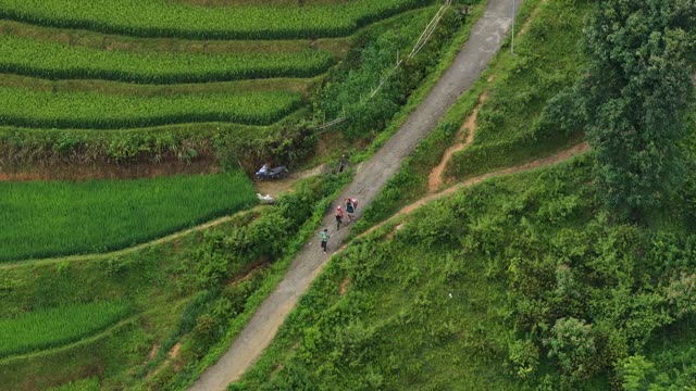 Hikers Walking Trail Beside Terraces