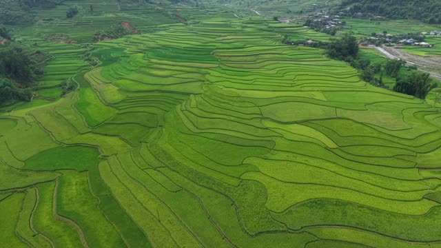 Rolling Terraces Beside Distant Village