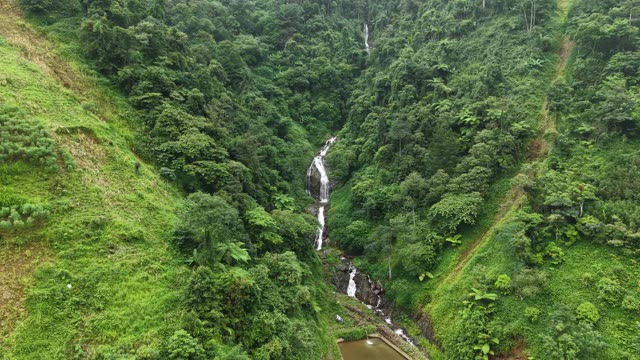 Waterfall Cascading Through Deep Jungle