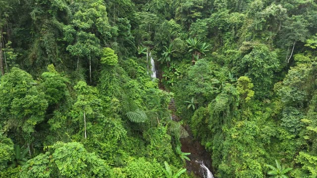 Waterfall Hidden In Dense Jungle