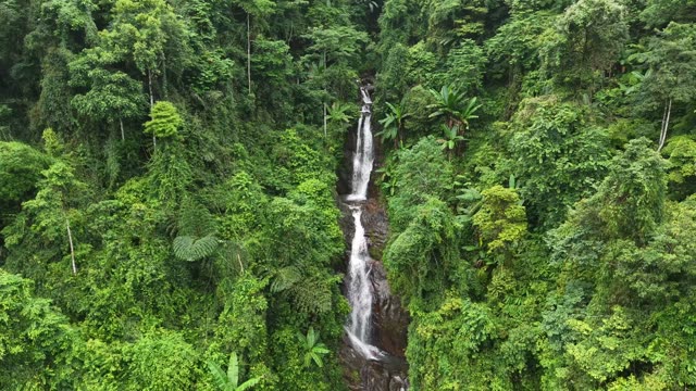 Tall Waterfall Through Rainforest Canopy