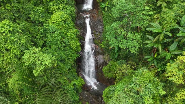 Waterfall Cascading Through Jungle