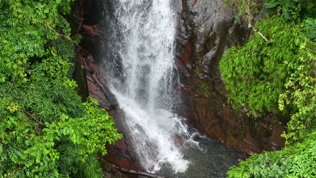 Water Rushing Down Forest Rocks