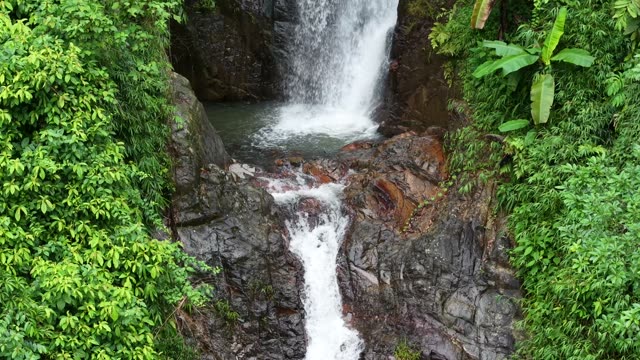 Twin Falls Among Green Foliage