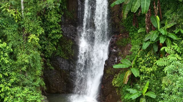 Waterfall Framed By Banana Leaves