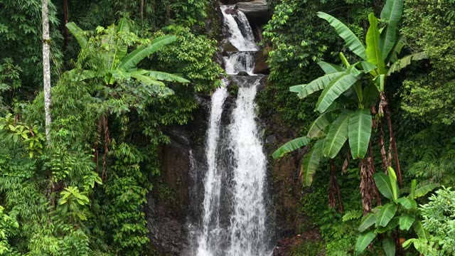 Tall Waterfall Through Dense Forest