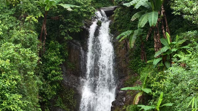 Waterfall Seen From Above Canopy