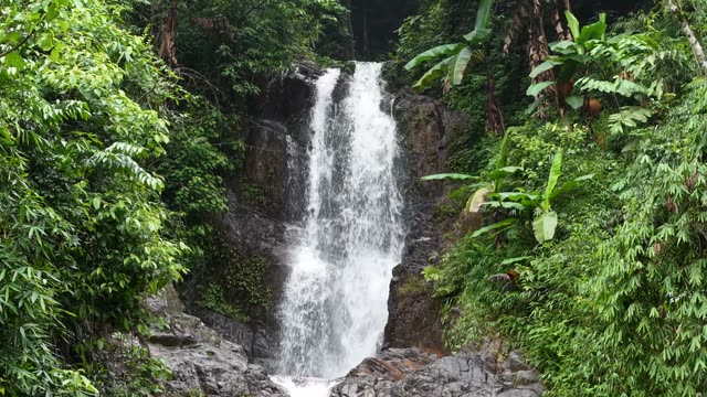 Twin Stream Waterfall In Jungle