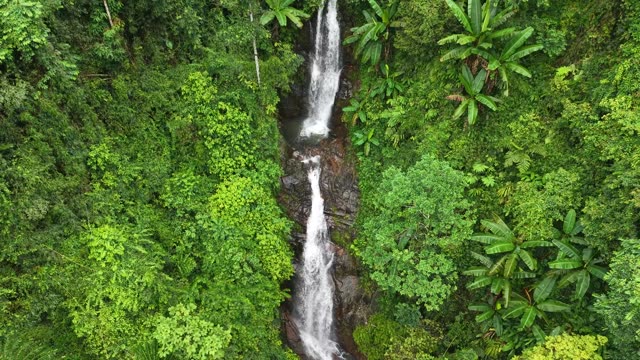 Aerial View Of Jungle Waterfall