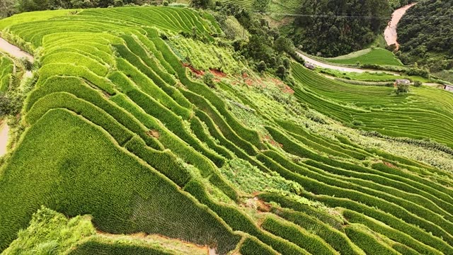 FPV Flying Over Layered Terrace Ridges
