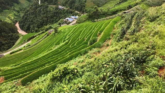 FPV Skimming Terraces Near Buildings