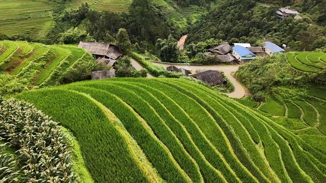 FPV Skimming Terraces Beside Village Homes