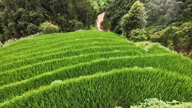 FPV Skimming Village Terrace Slope