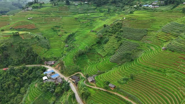Winding Road Through Terraces