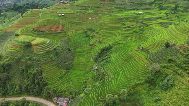 Terraced Slopes Above Village