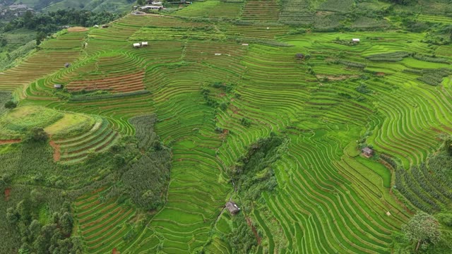 Patchwork Of Terraced Fields