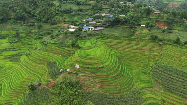 Village Homes Above Terraced Slopes