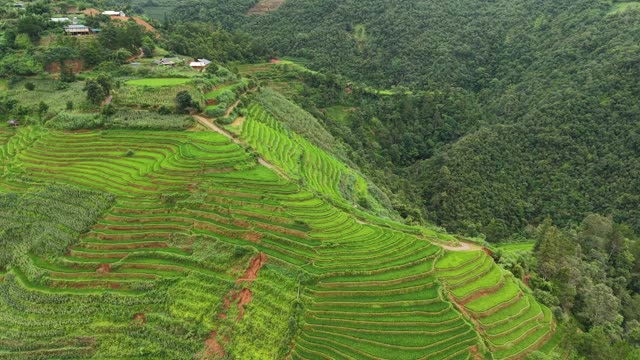 Village Path Through Terraces