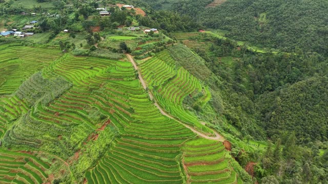 Terraces Along Mountain Ridge
