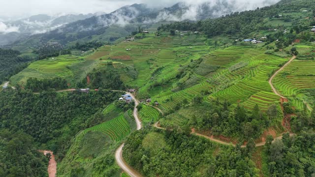 Winding Road Through Cloud Terraces