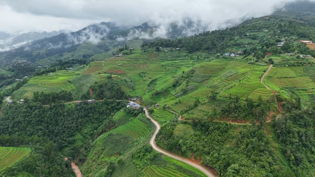 Misty Mountain Terraces At Dawn