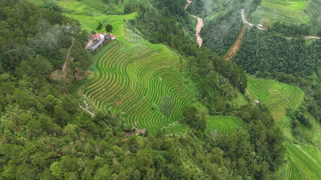 Hillside House Amid Terraced Fields