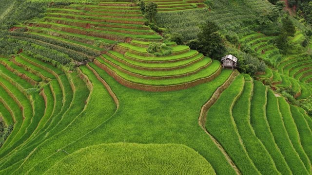Farmhouse Terraces Beside Mountain Road