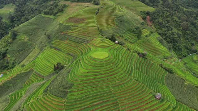 Terraces With Red Soil Patches