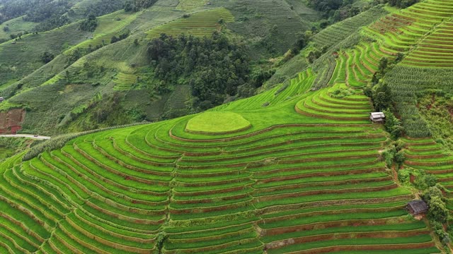 Wide View Of Spiral Terraces