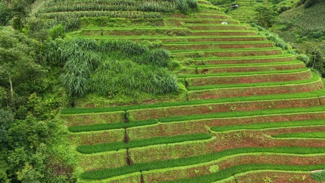 Steep Terrace Steps With Red Soil