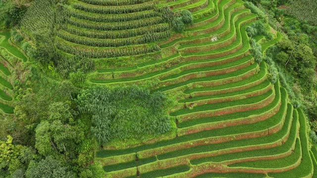 Terraced Circle Beside Hillside House