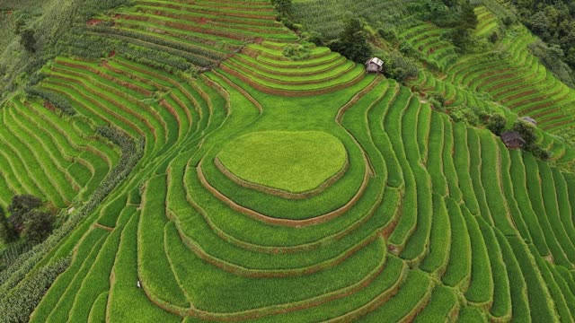 Circular Terrace With Small House