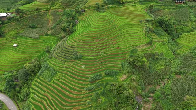 Rippling Terrace Ridges