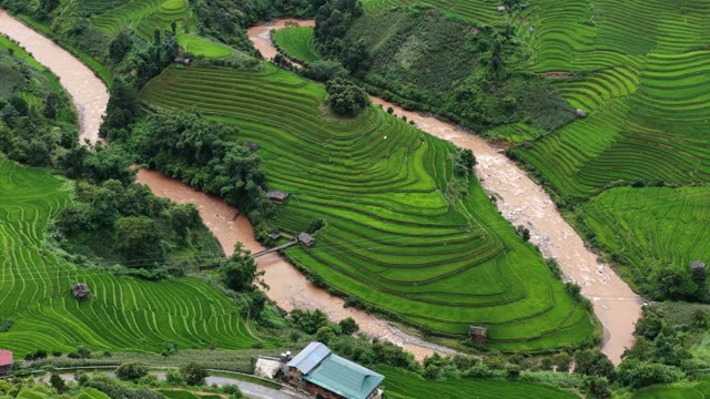 Winding River Through Green Terraces