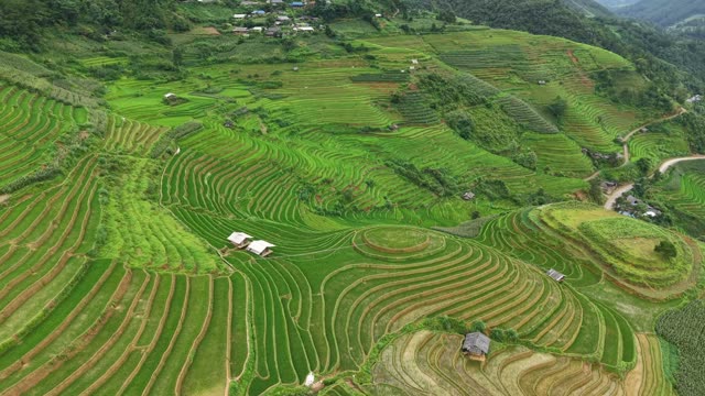 Village Terraces Beside Hillside Road