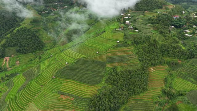 Misty Valley Village With Winding Road