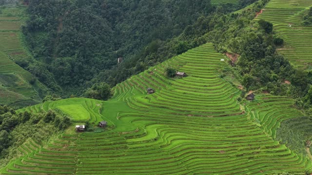 Steep Terraces With Scattered Huts