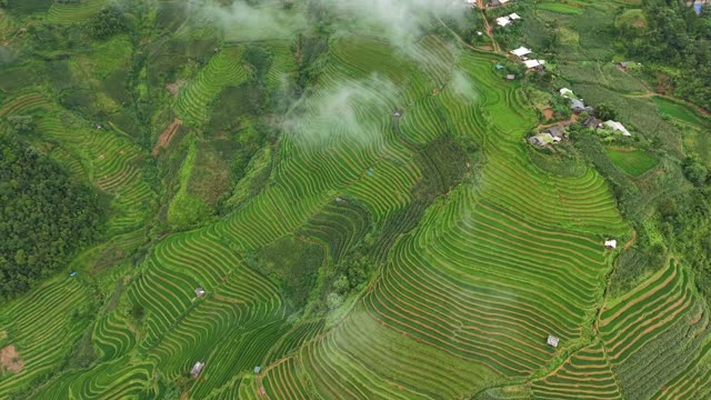 Cloud-Wrapped Mountain Village