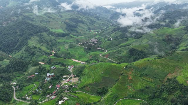 Terraces Emerging From Thick Fog