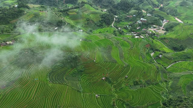 Cloud Mist Over Terraced Village