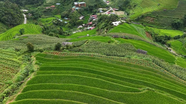 Terraced Fields Near Hillside Houses