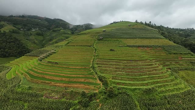 FPV Racing Over Terraced Hill Peak