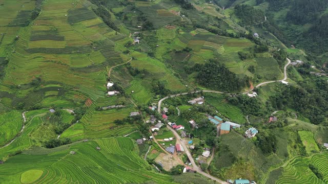Village Roads Through Green Terraces