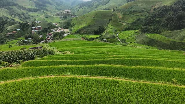 FPV Skimming Terraces Above Village
