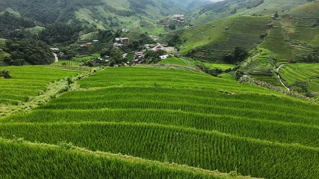FPV Racing Toward Terraced Valley Village