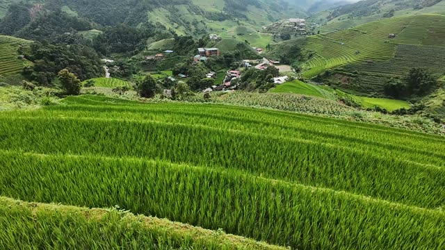 FPV Flying Over Village Rice Terraces