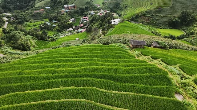 FPV Skimming Terraces Beside Farm Huts