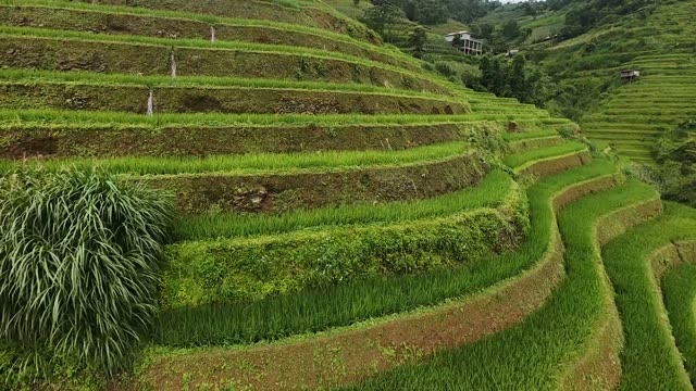 FPV Racing Through Cloudy Terrace Valley