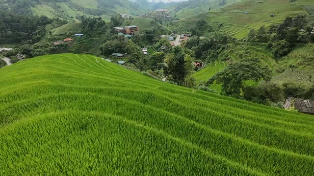 FPV Skimming Terraces Near Village Road